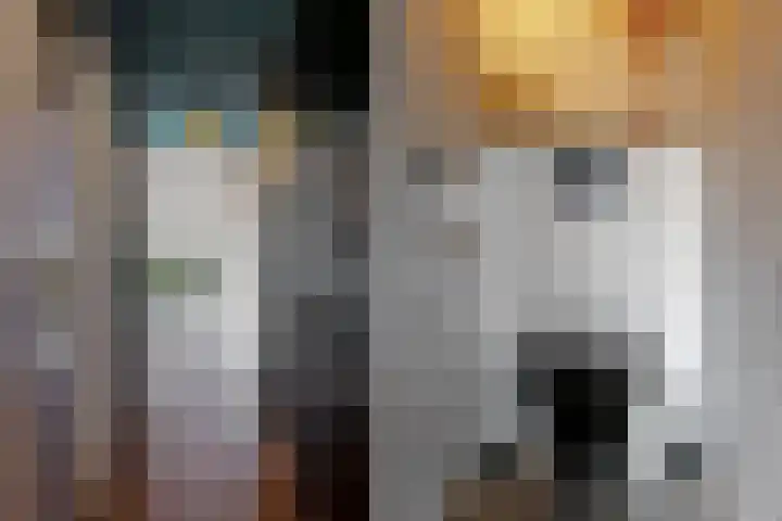 Looakkers 27 Valthe thumbnail 4