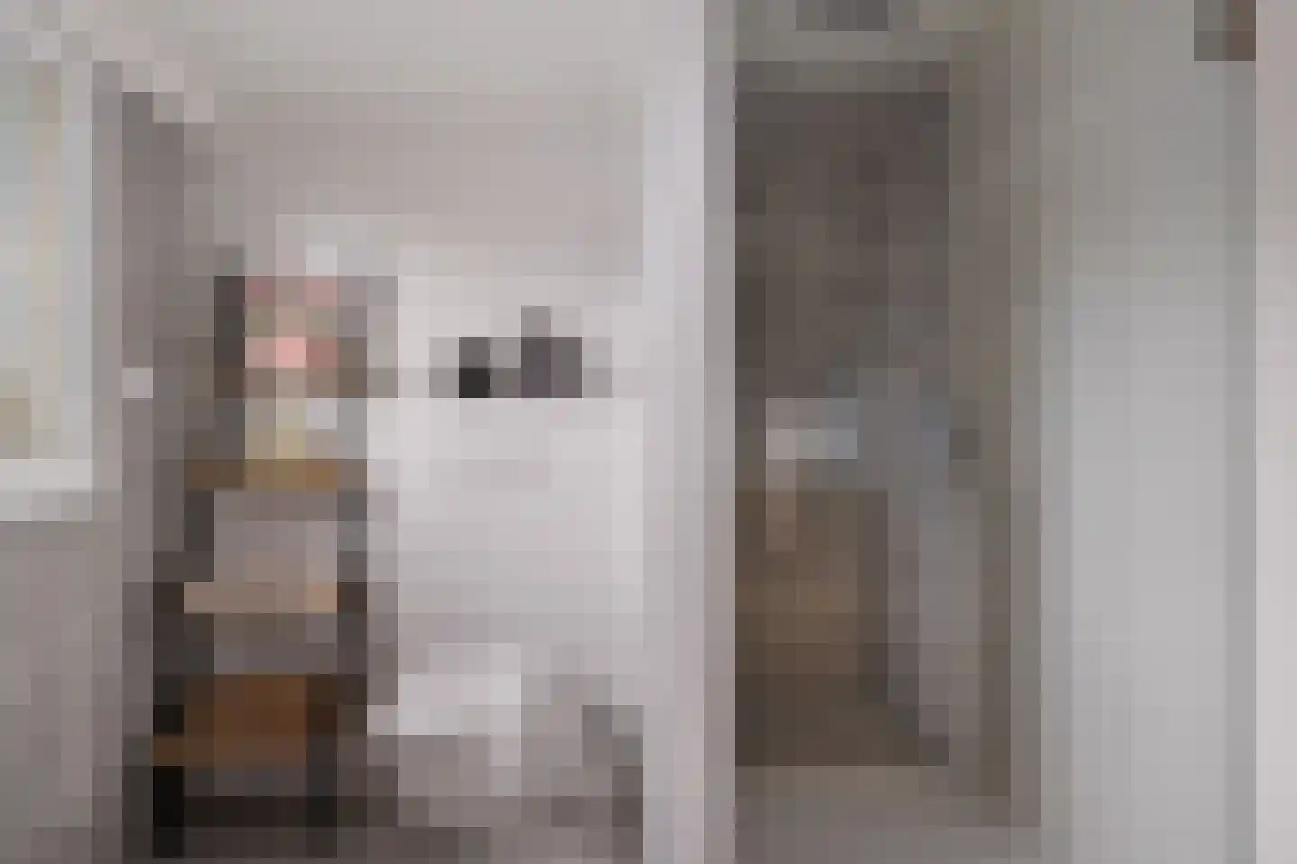 Looakkers 27 Valthe thumbnail 40