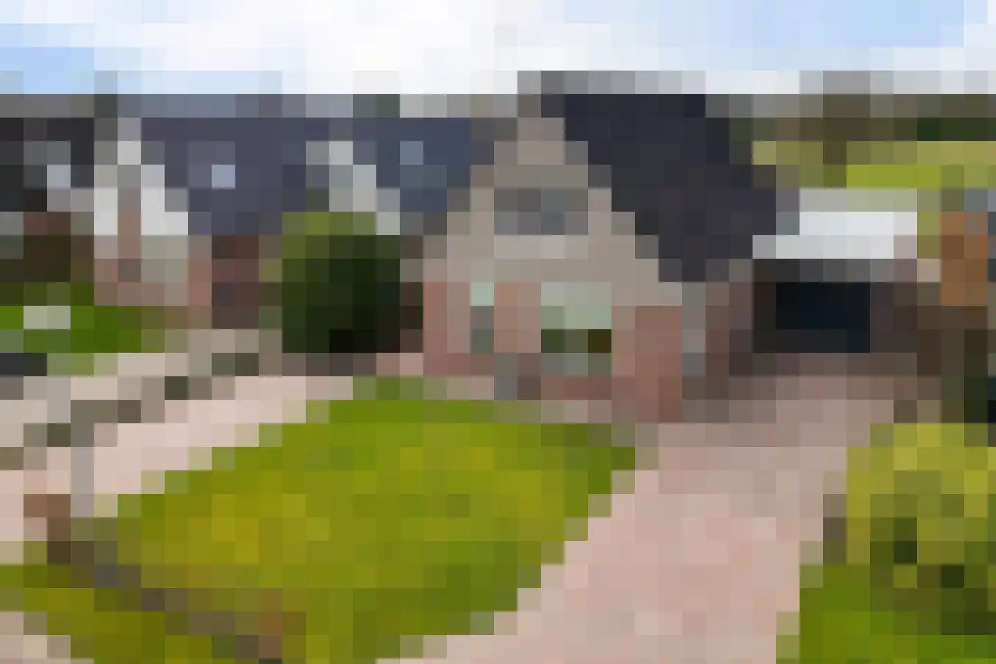 Looakkers 27 Valthe thumbnail 6