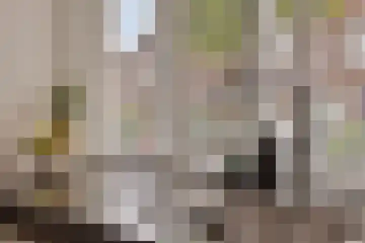 Loodgieter 5 Assendelft thumbnail 16