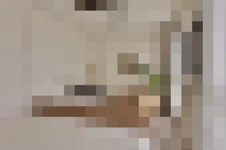 Loodgieter 5 Assendelft thumbnail 21