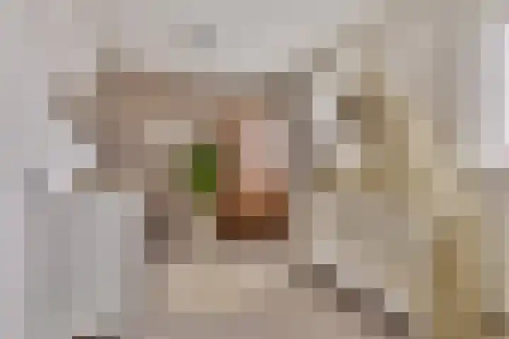 Loodgieter 5 Assendelft thumbnail 22
