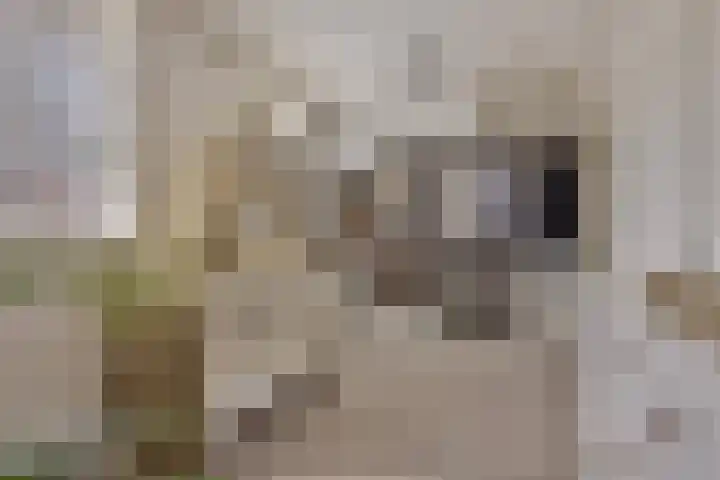 Loodgieter 5 Assendelft thumbnail 23