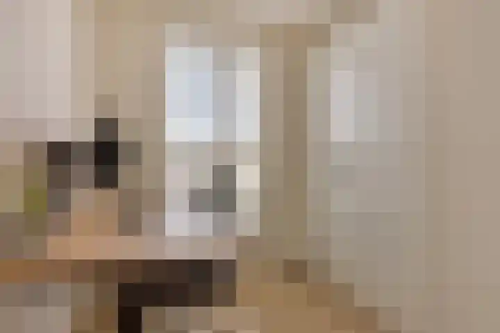 Loodgieter 5 Assendelft thumbnail 28