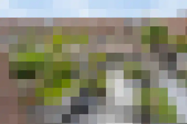 Loodgieter 5 Assendelft thumbnail 39