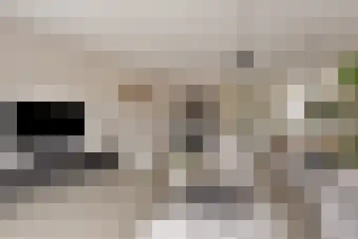 Loodgieter 5 Assendelft thumbnail 7