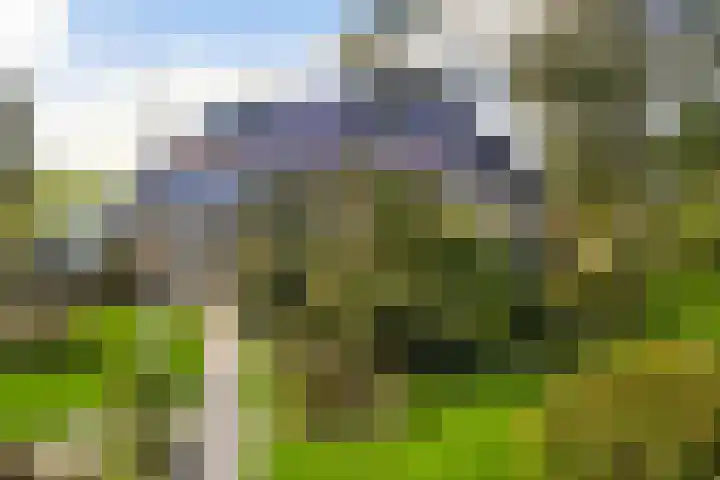 Loodyk 1 in Wirdum