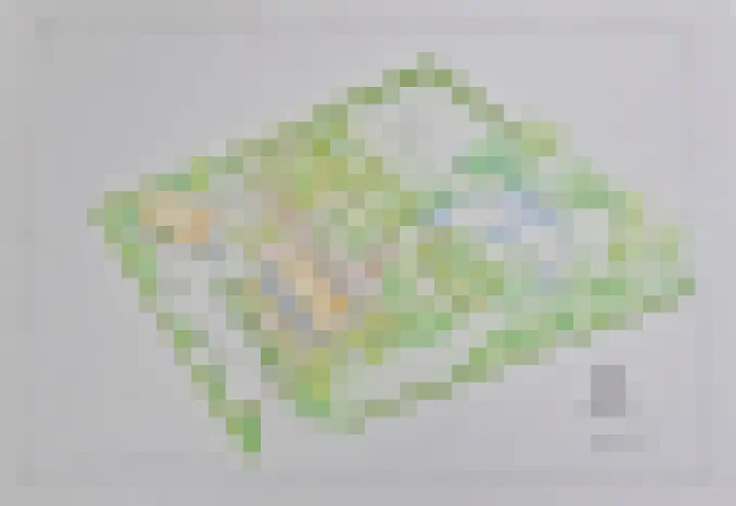 Looieind 30 Erp thumbnail 105