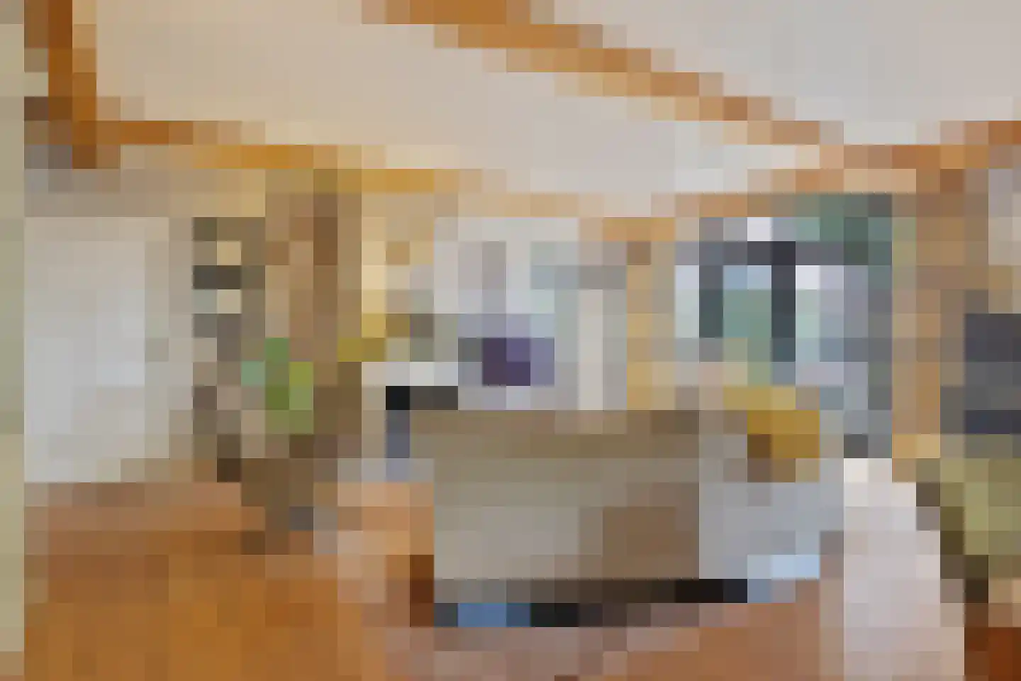 Looieind 30 Erp thumbnail 15