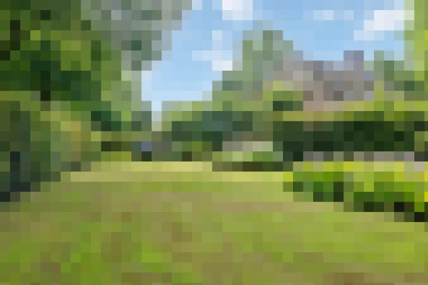 Looieind 30 Erp thumbnail 5