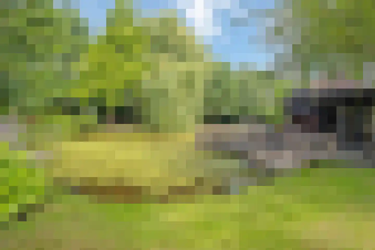 Looieind 30 Erp thumbnail 66