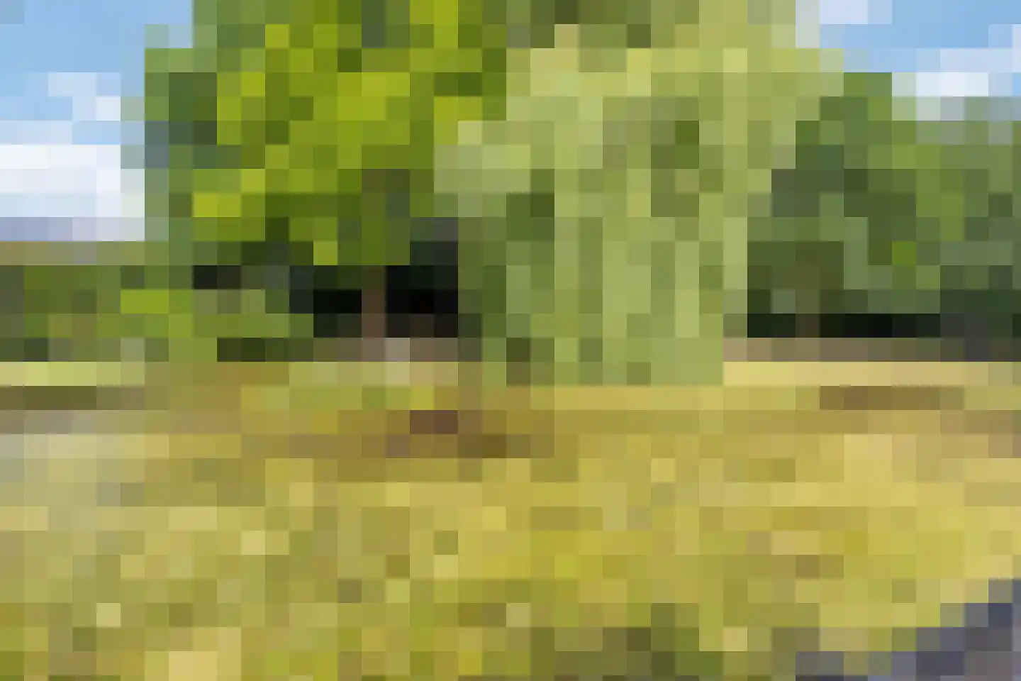 Looieind 30 Erp thumbnail 67
