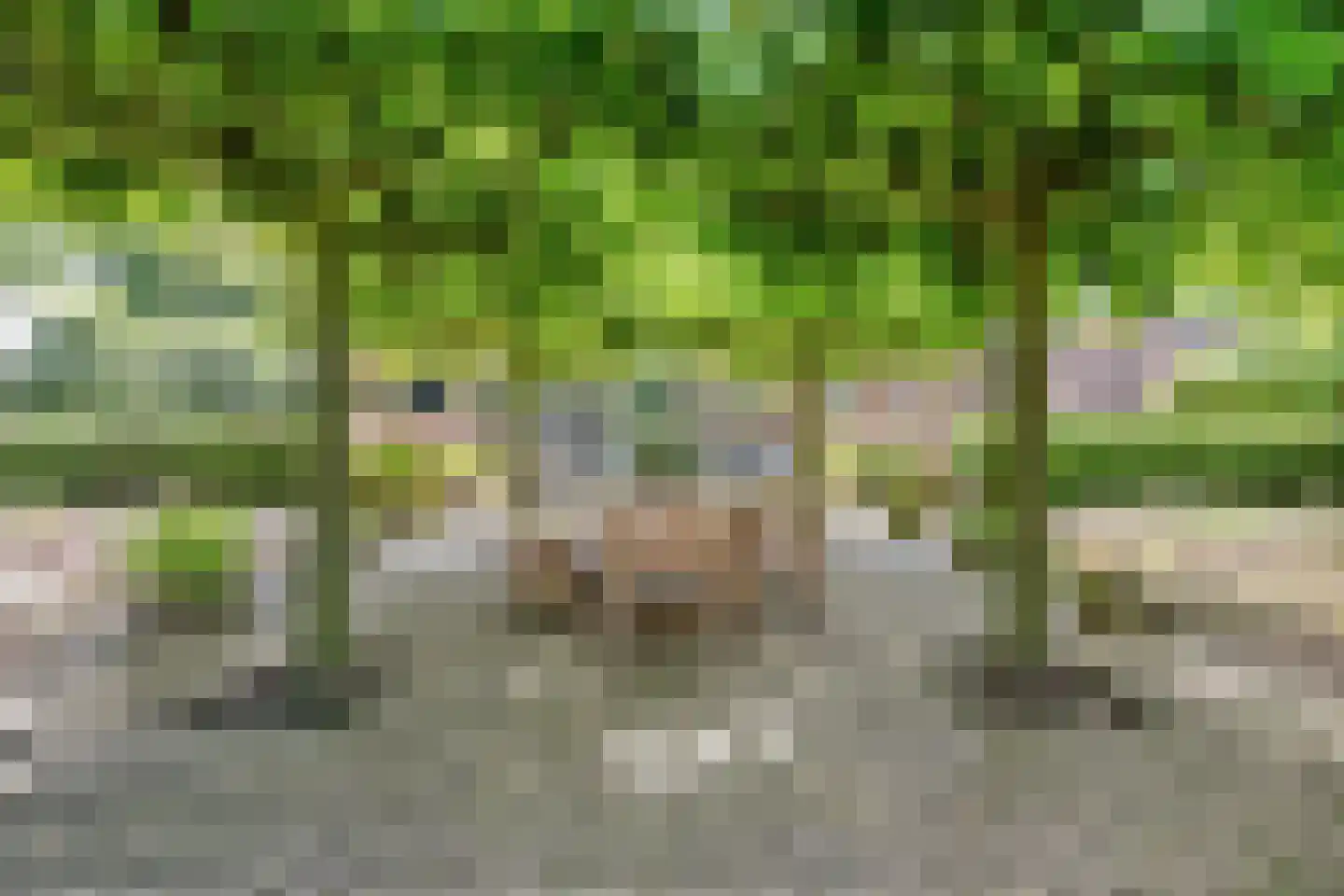 Looieind 30 Erp thumbnail 72