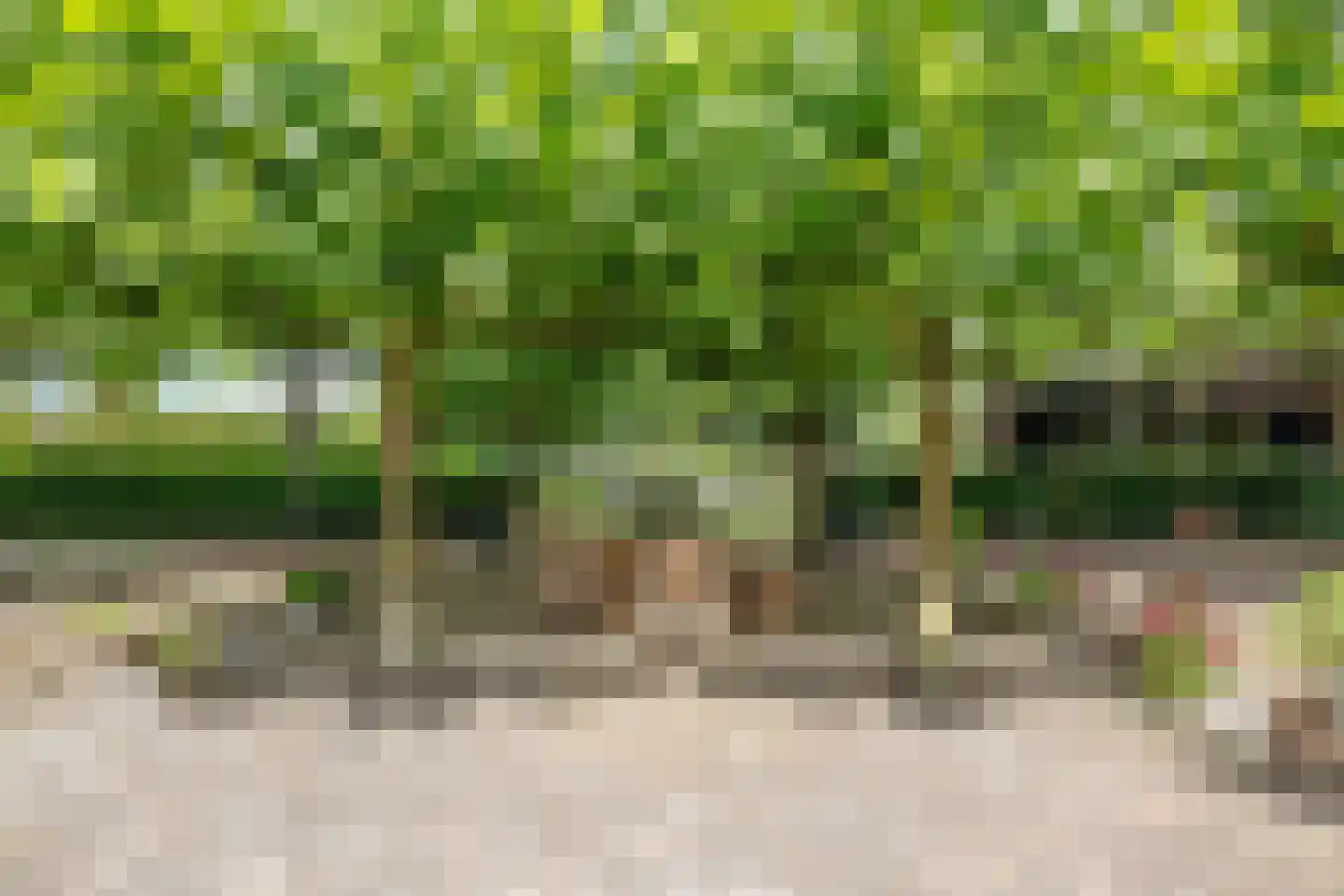 Looieind 30 Erp thumbnail 75