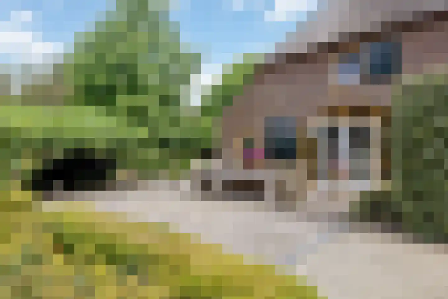 Looieind 30 Erp thumbnail 8