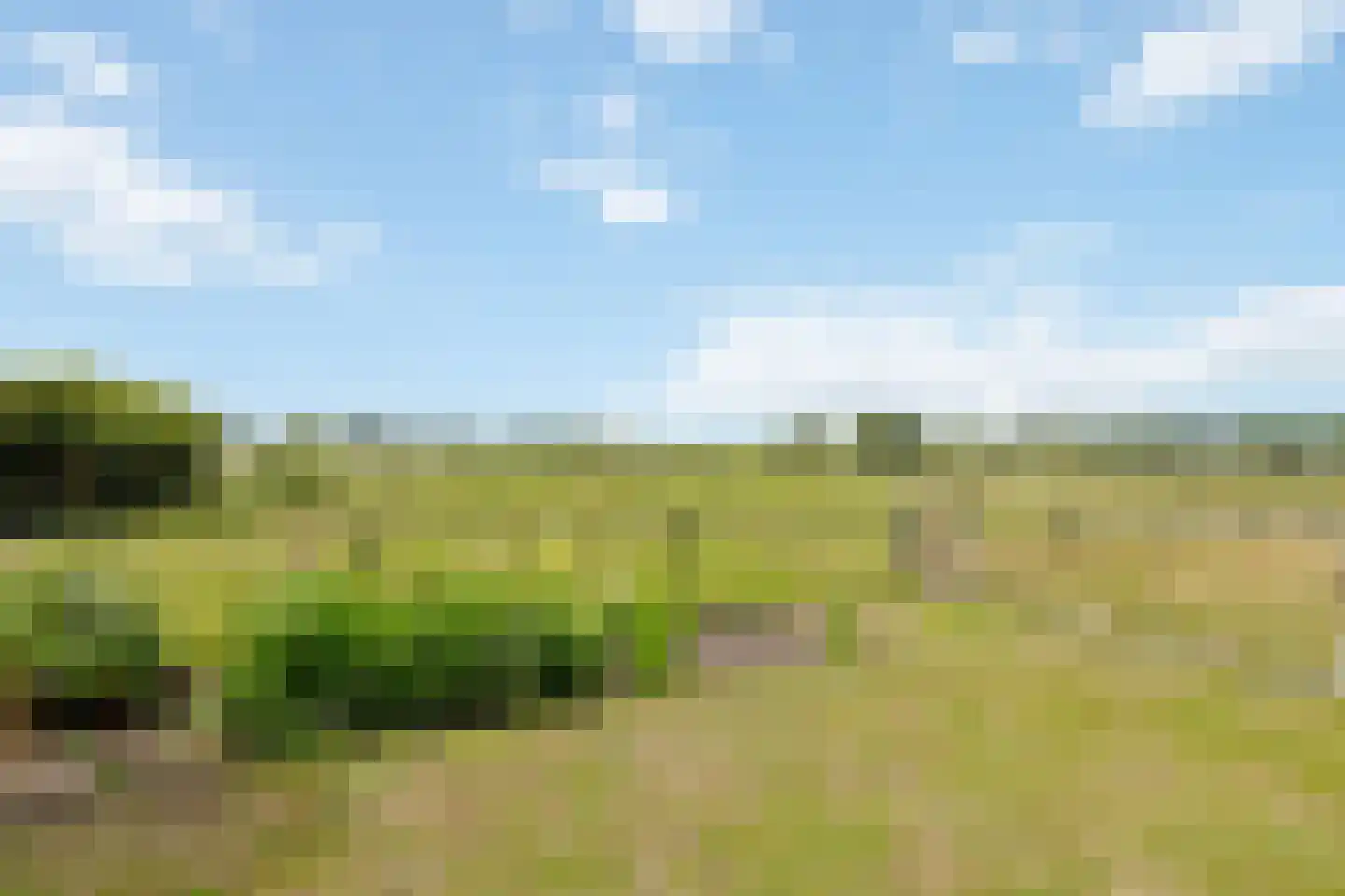 Looieind 30 Erp thumbnail 81