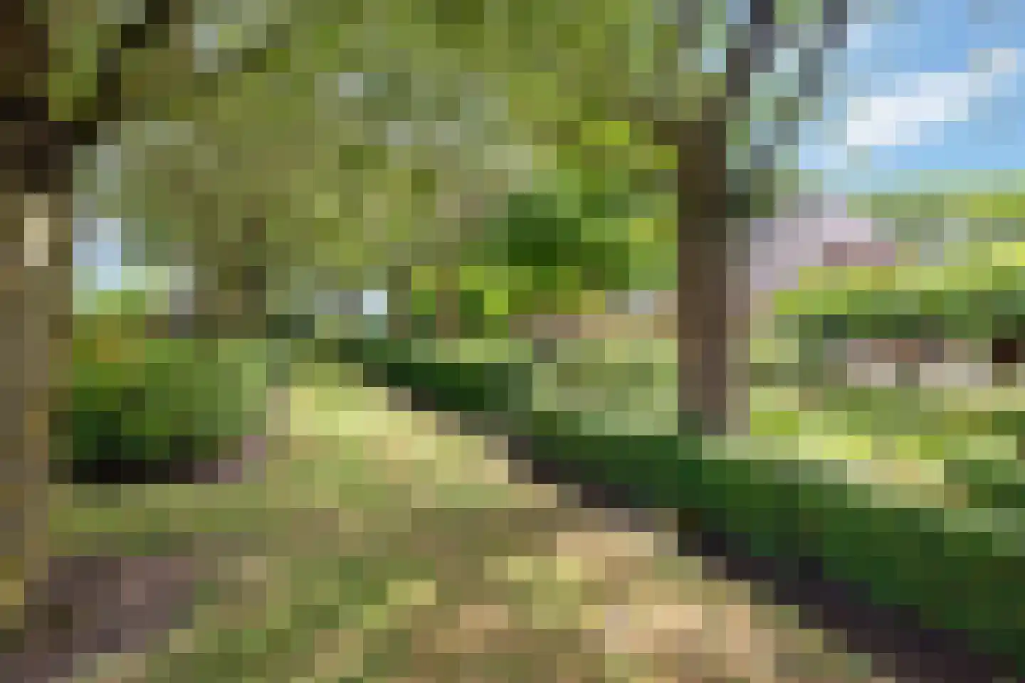 Looieind 30 Erp thumbnail 83