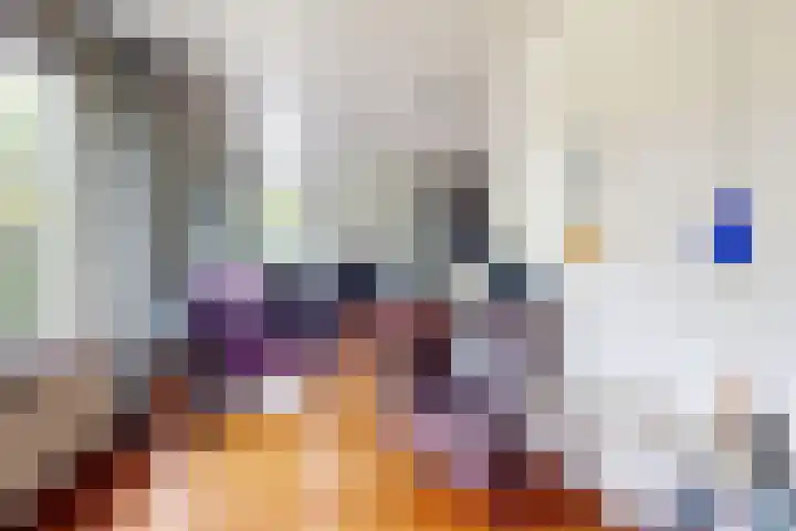 Looierij 3 Zevenbergen thumbnail 13