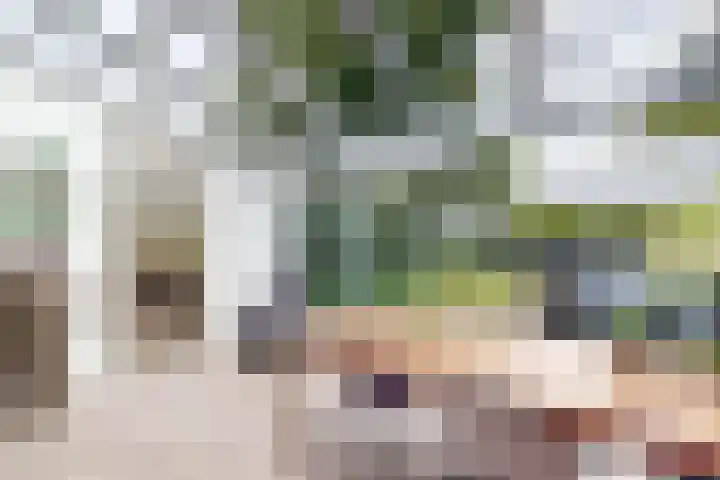 Looierij 3 Zevenbergen thumbnail 28