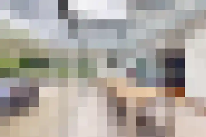 Looierij 3 Zevenbergen thumbnail 29