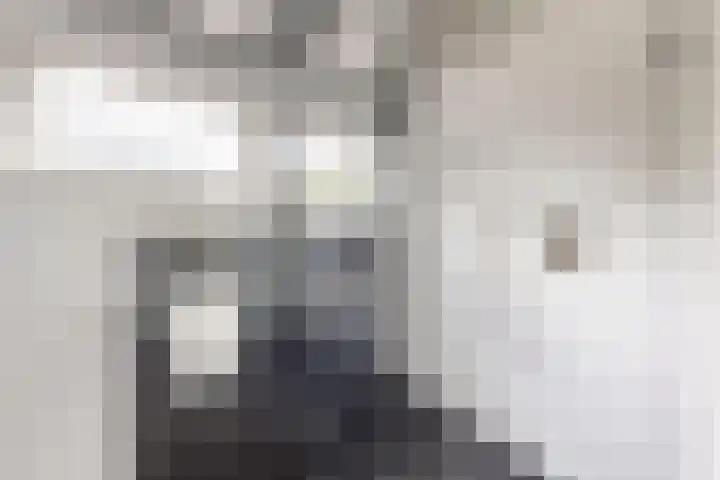 Looierij 3 Zevenbergen thumbnail 52