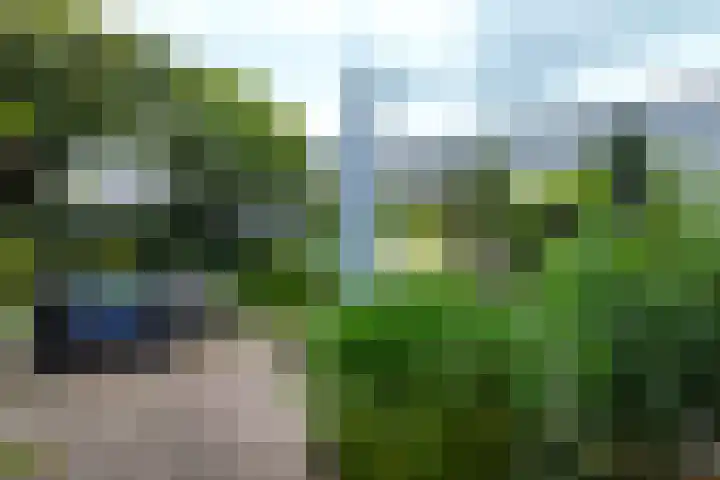 Looierij 3 Zevenbergen thumbnail 56
