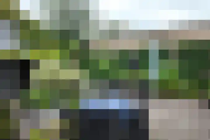Looierij 3 Zevenbergen thumbnail 57