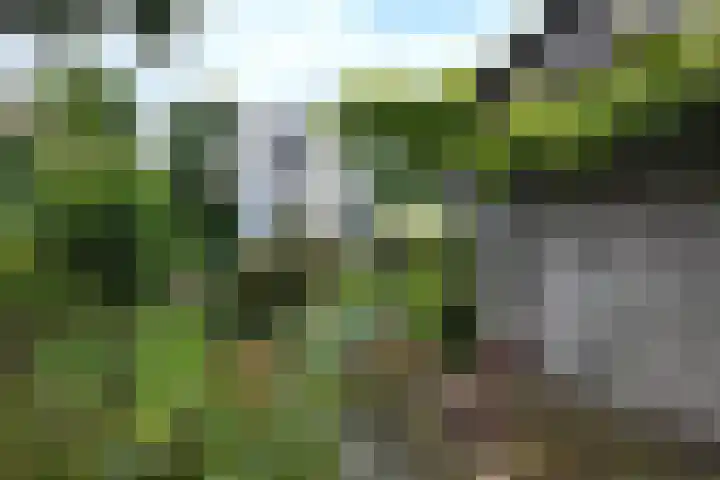 Looierij 3 Zevenbergen thumbnail 60