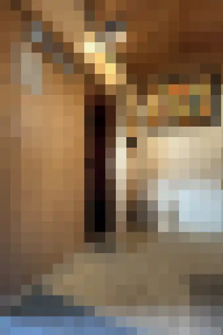 Looierij 3 Zevenbergen thumbnail 61