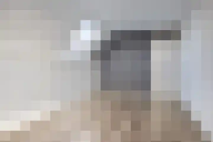 Looierij 49 Meppel thumbnail 14