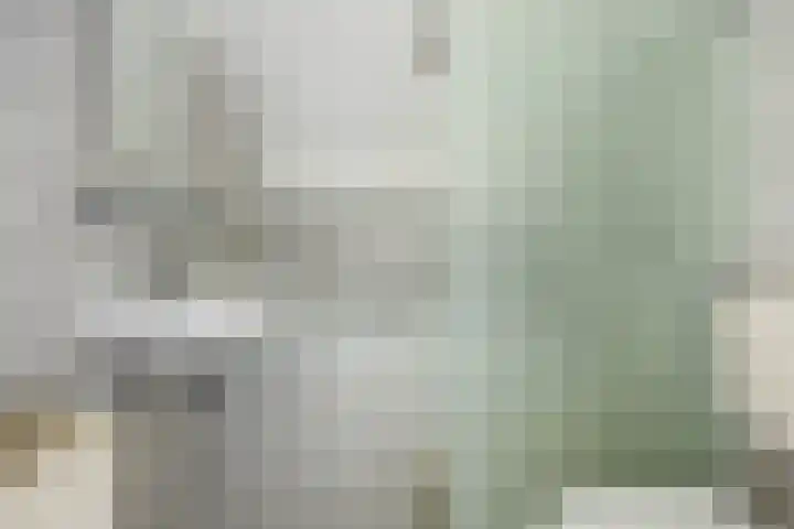 Looierij 49 Meppel thumbnail 16