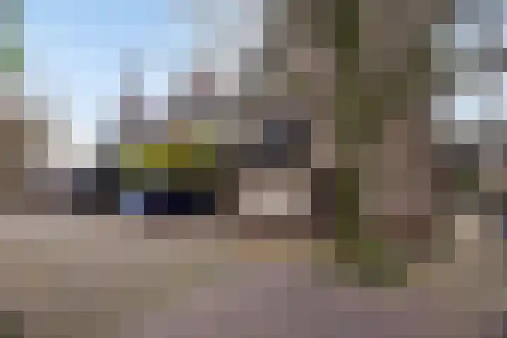 Looierij 49 Meppel thumbnail 28
