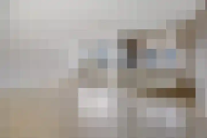 Looierij 49 Meppel thumbnail 7