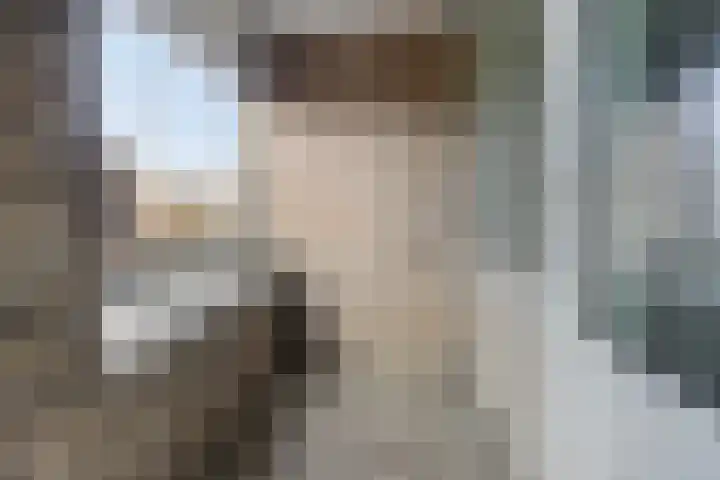 Looierij 49 Meppel thumbnail 8