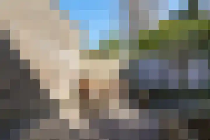 Looierij 50 Waalwijk thumbnail 29