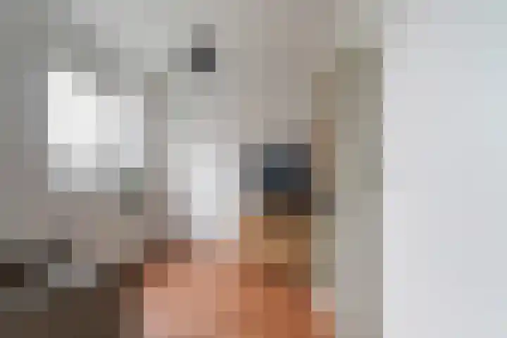 Looiershof 21 Esch thumbnail 26