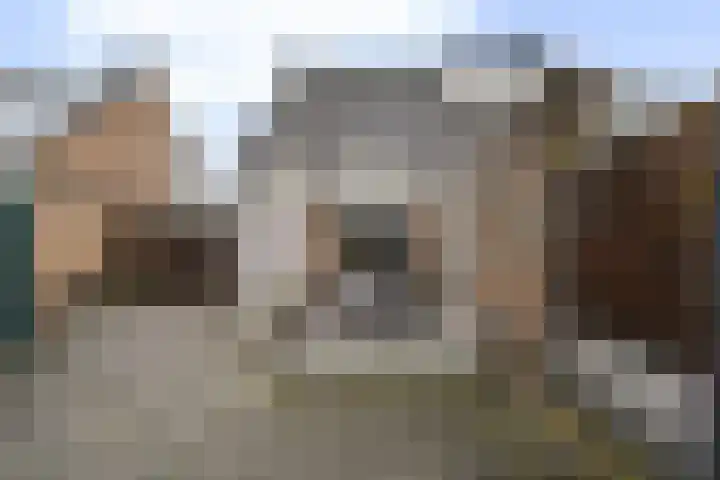Looiershof 21 Esch thumbnail 45