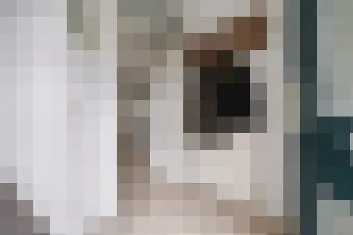 Looiershof 21 Esch thumbnail 6