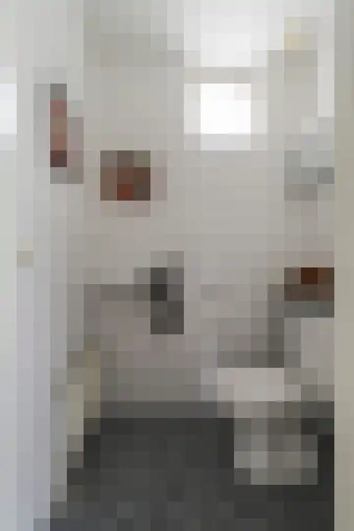 Looiershof 21 Esch thumbnail 9
