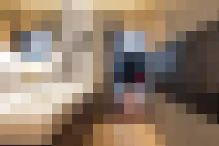 Looiershof 40 Rotterdam thumbnail 17