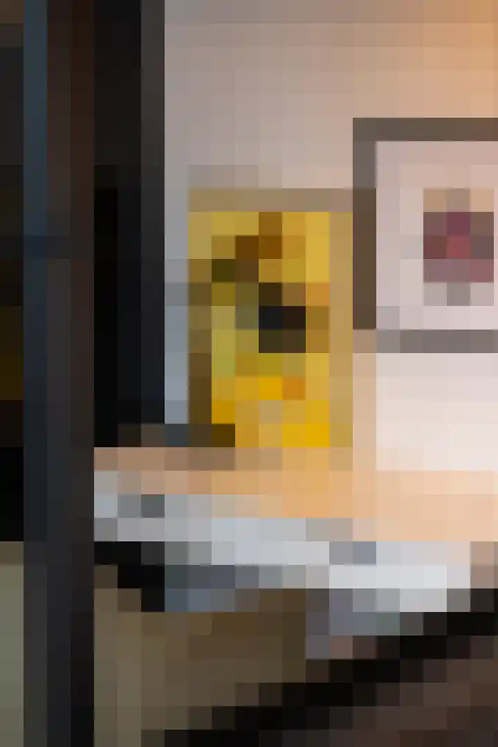 Looiershof 40 Rotterdam thumbnail 19