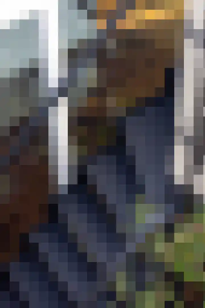 Looiershof 40 Rotterdam thumbnail 23