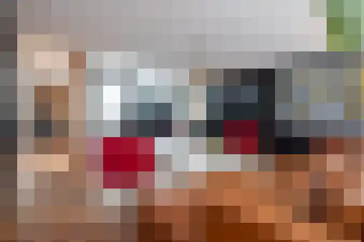 Looiershof 40 Rotterdam thumbnail 9