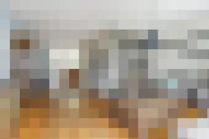 Looiersplein 6 Dongen thumbnail 10