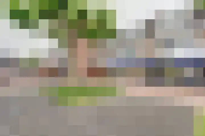 Looiersplein 6 Dongen thumbnail 29