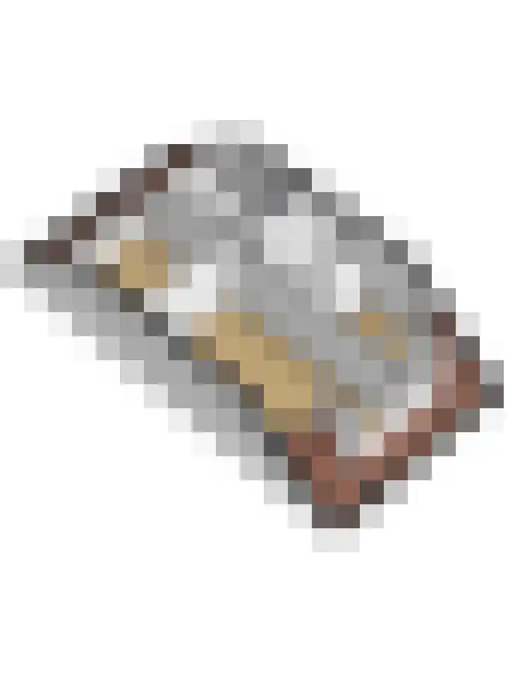 Looiersplein 6 Dongen thumbnail 34