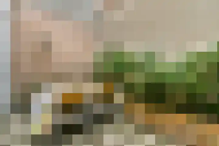 Looierspoort 3 Gouda thumbnail 10