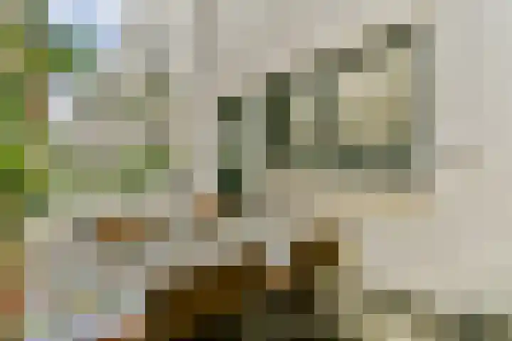 Looierspoort 3 Gouda thumbnail 11