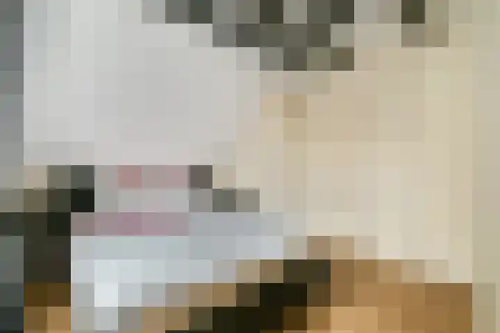 Looierspoort 3 Gouda thumbnail 13