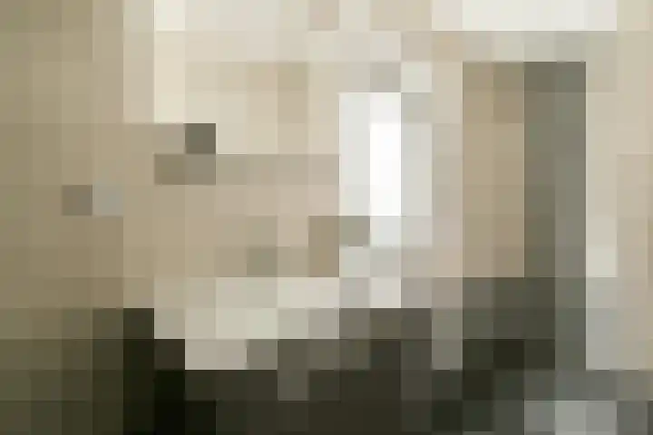 Looierspoort 3 Gouda thumbnail 15